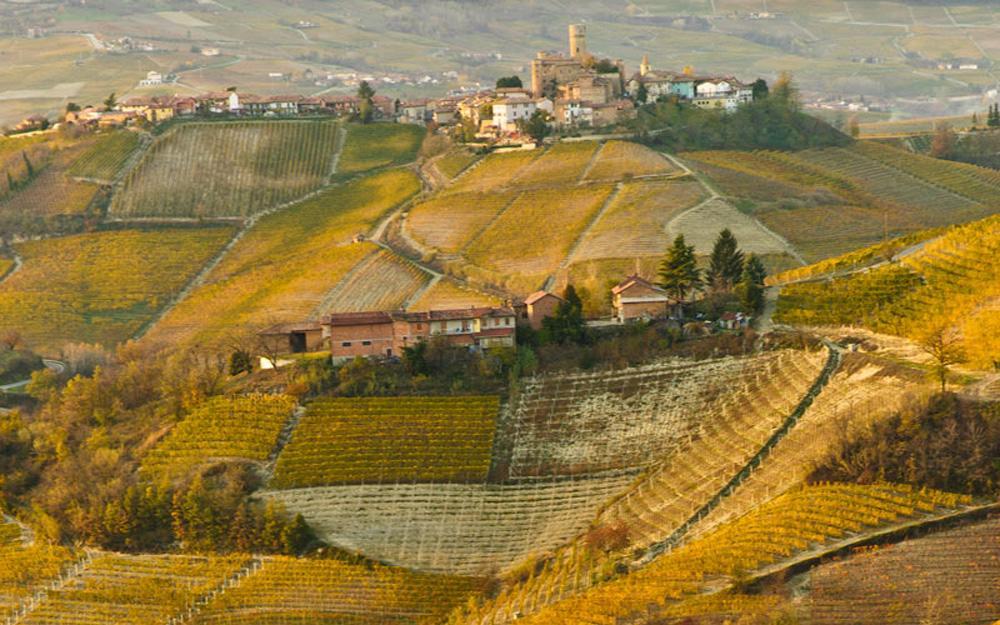 Hotel Langhe&Monferrato Costigliole d'Asti Exterior foto